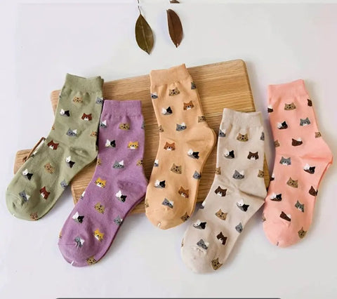 Women’s Cat Socks - Orange