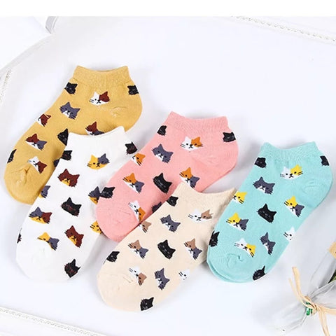 Cat Trainer Socks - Turquoise